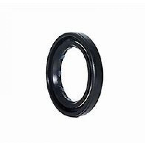 skf 1250110 Radial shaft seals for heavy industrial applications #1 image