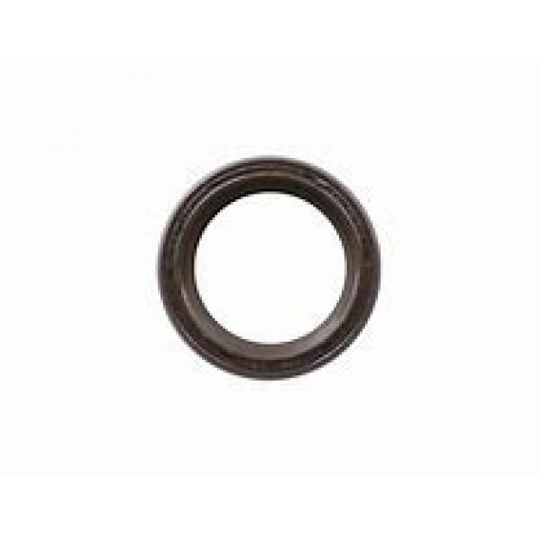 skf 615x665x24 HS8 R Radial shaft seals for heavy industrial applications #1 image