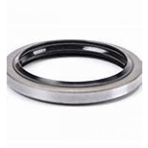 skf 11067 Radial shaft seals for general industrial applications #2 image